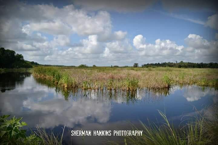 Lake Woodruff National Wildlife Refuge