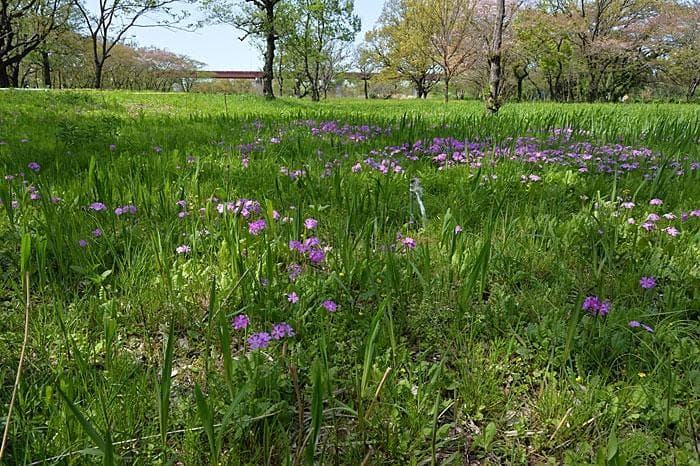 Sakura-so Saiko Farmhouse