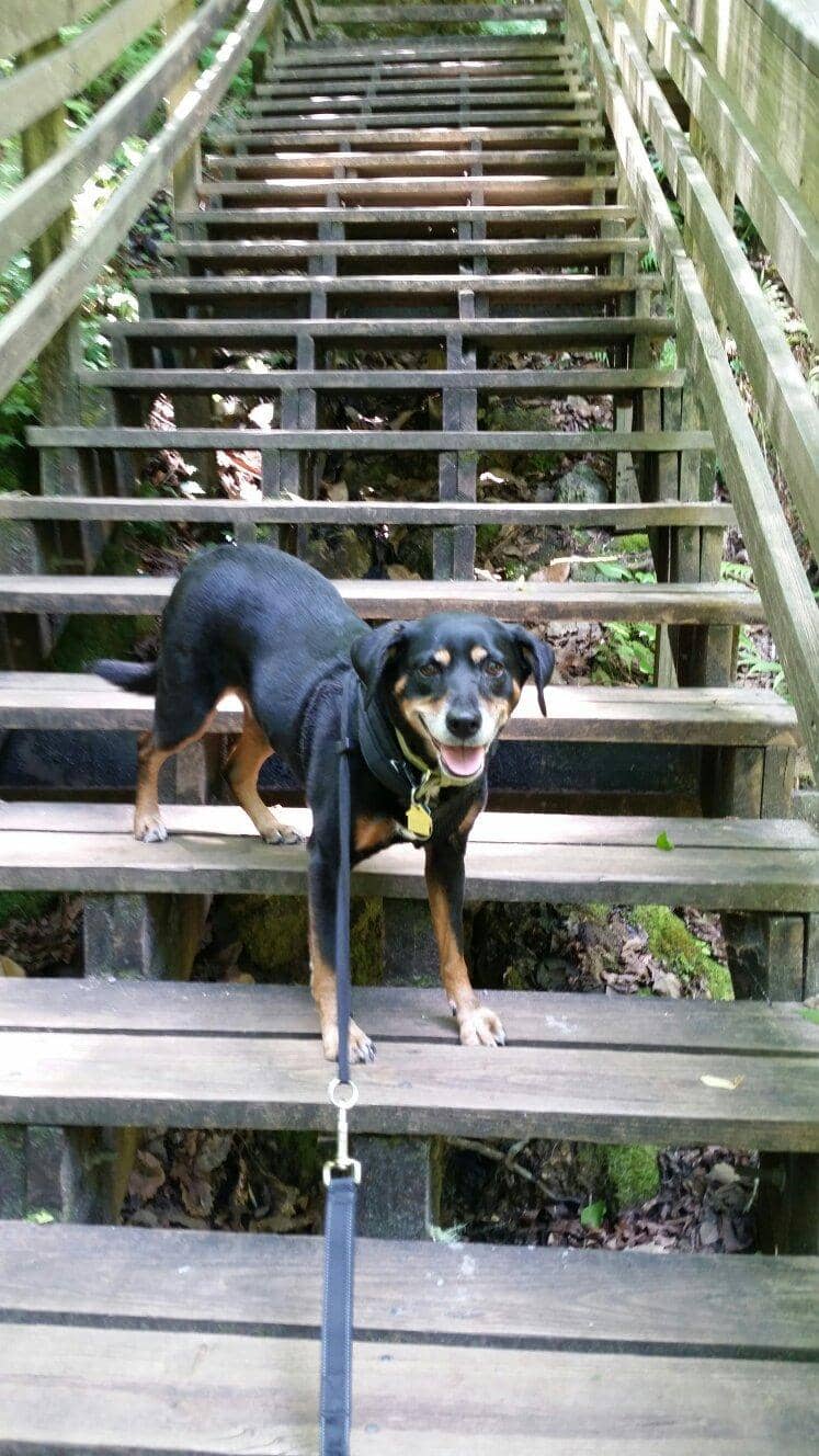 Miniature Waterfalls