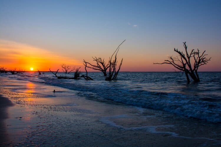 Botany Bay Plantation Heritage Preserve