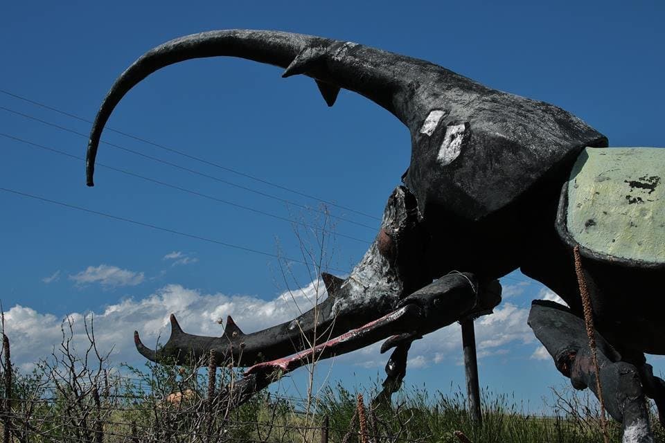 Giant Beetle lets you know you're in for something special!