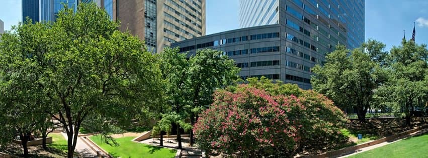 The Center Court of Praise