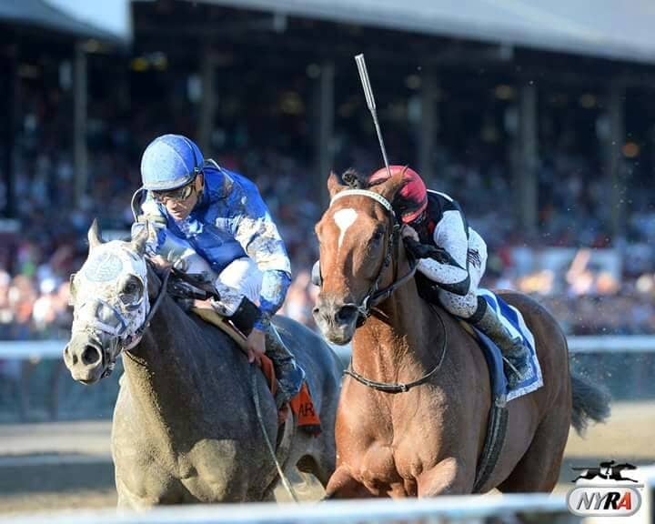 The Thrill of the Race