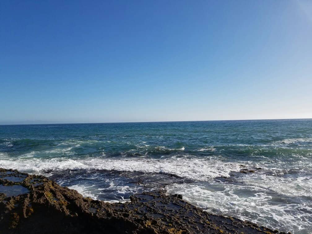 Birdwatching Opportunities