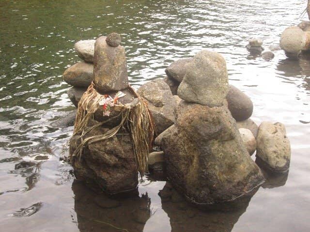Friendly Eel Encounters
