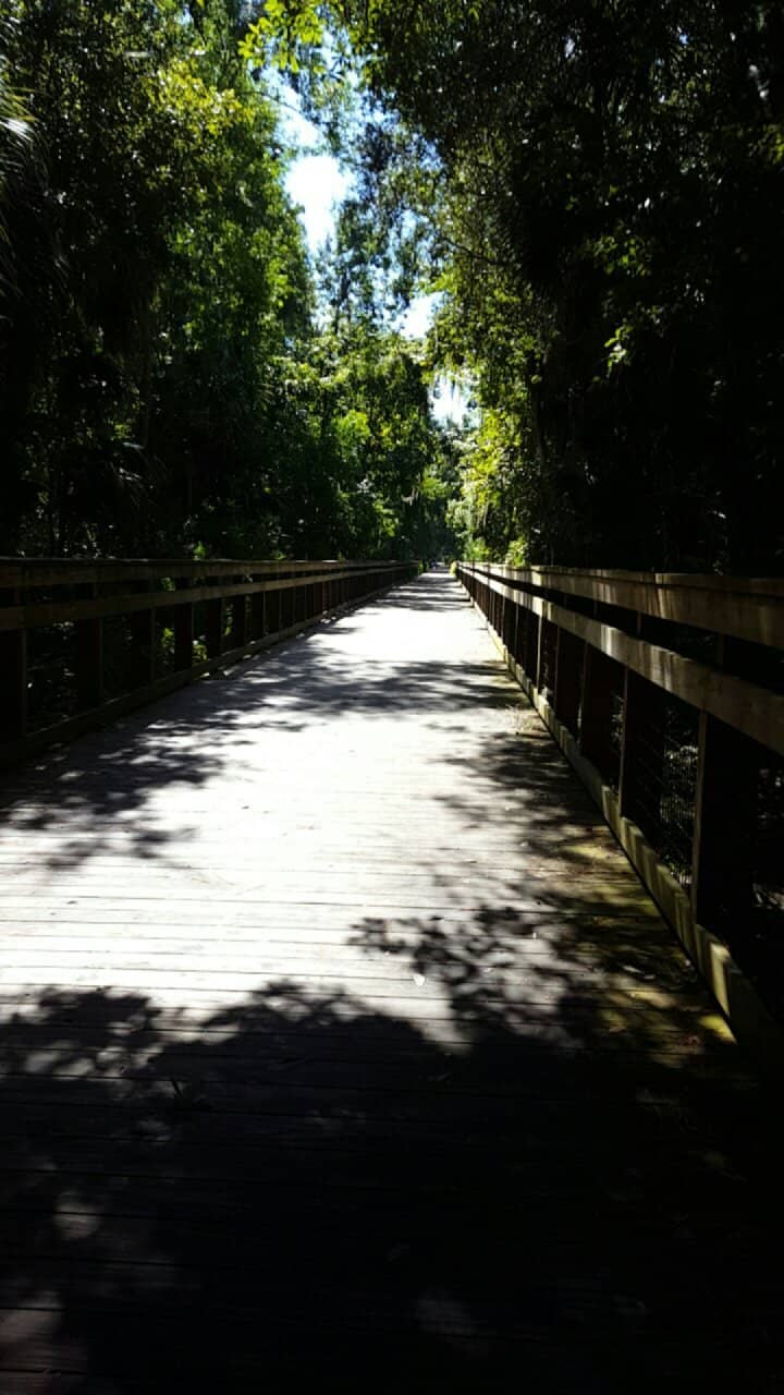Access to Blue Springs