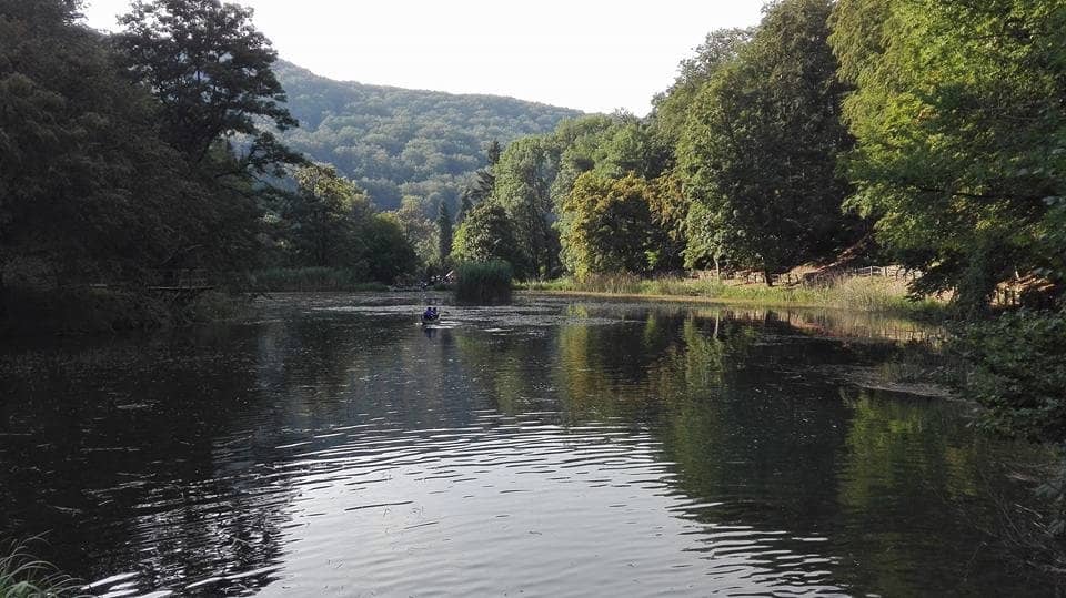 Peaceful Walking Paths