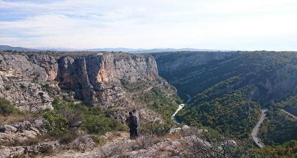 Vertical photo