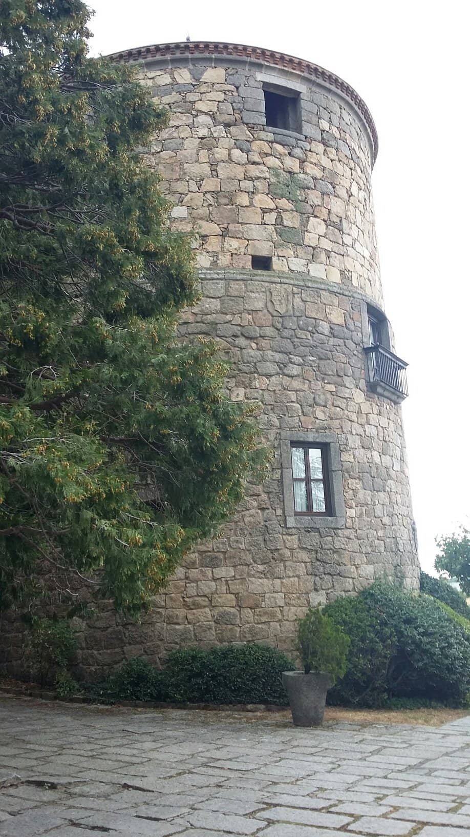 Vertical photo