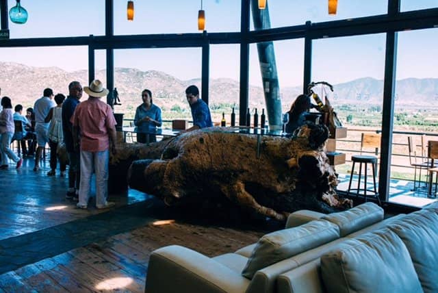 Gravity-Fed Winemaking