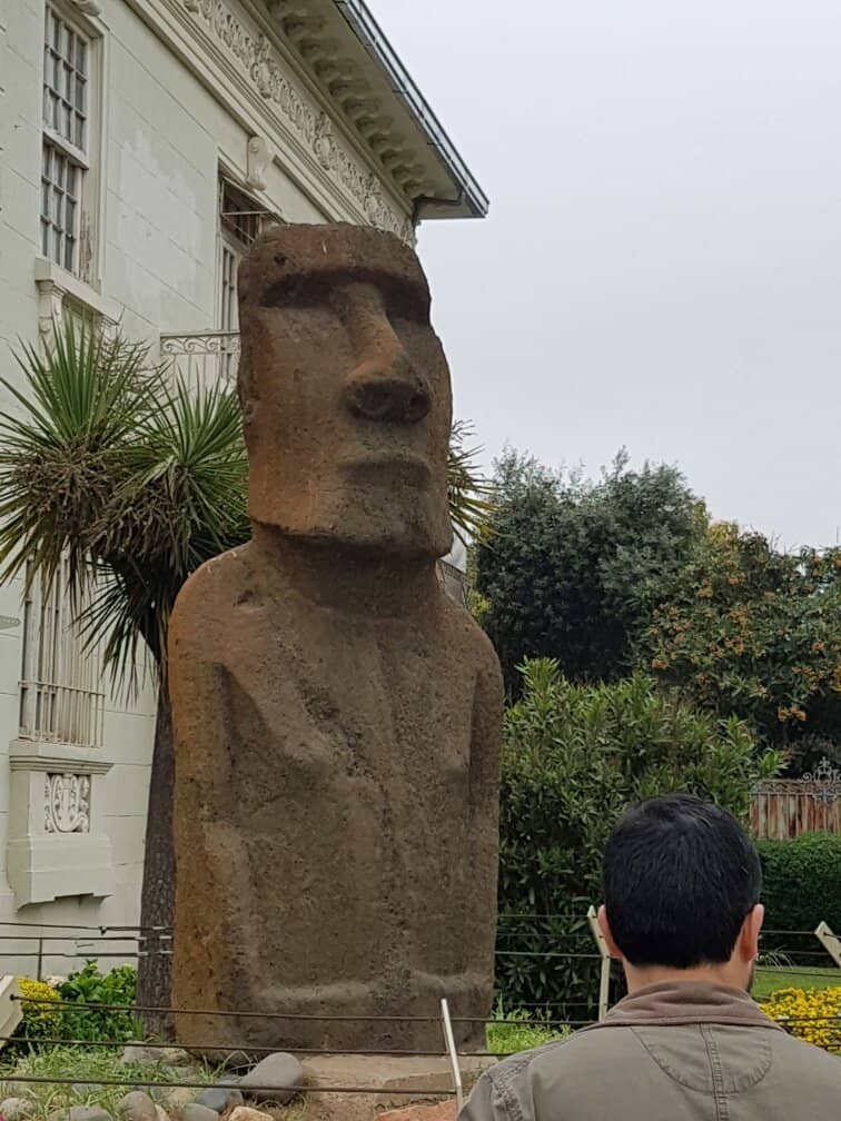 Vibrant Entertainment Hub