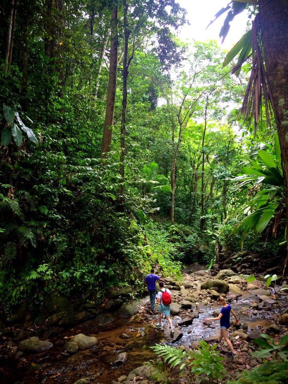 The Waterfall Mud Bath