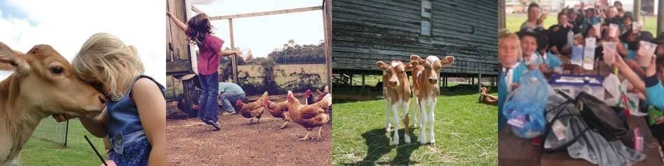 Dairy Tasting Experience