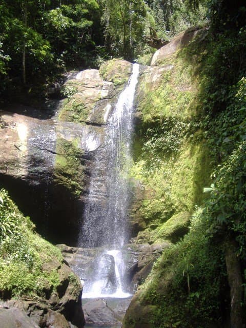 Los bosques y ríos de esta región han sido siempre el hábitat idóneo para los Bribris y Cabécare