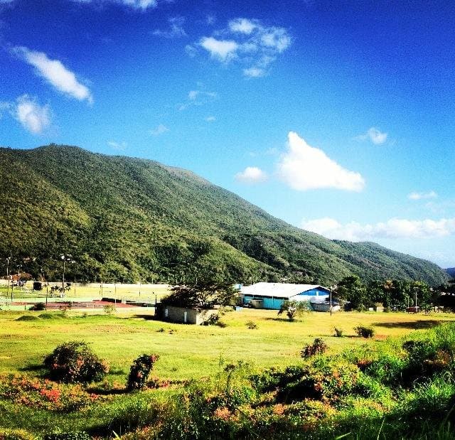 the old field