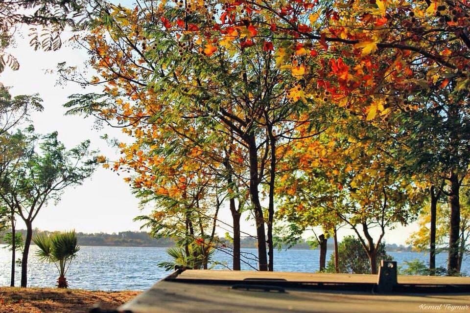 Müthiş güzel bir park...
