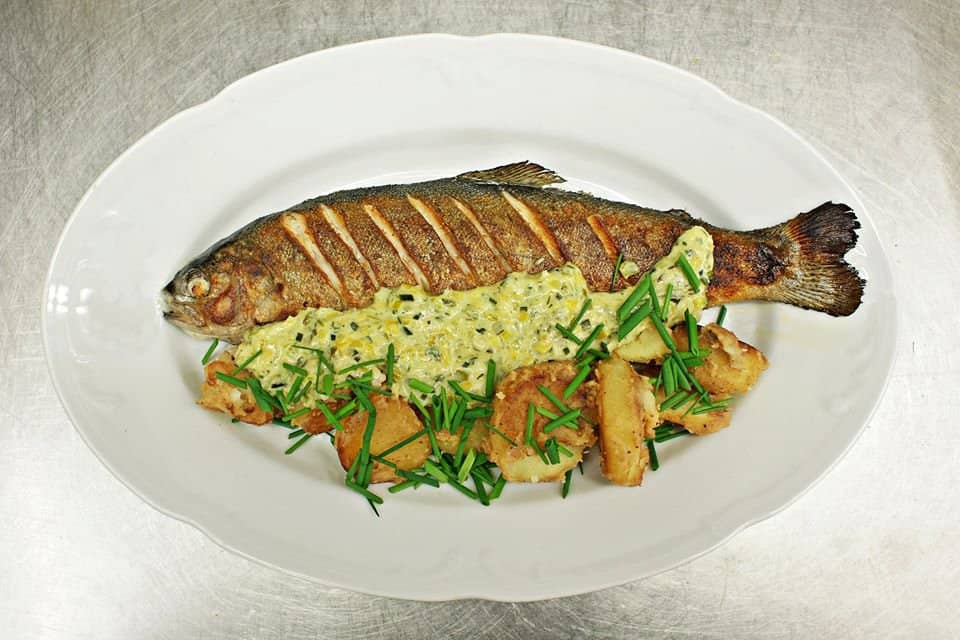 Cozy and Vibrant Atmosphere