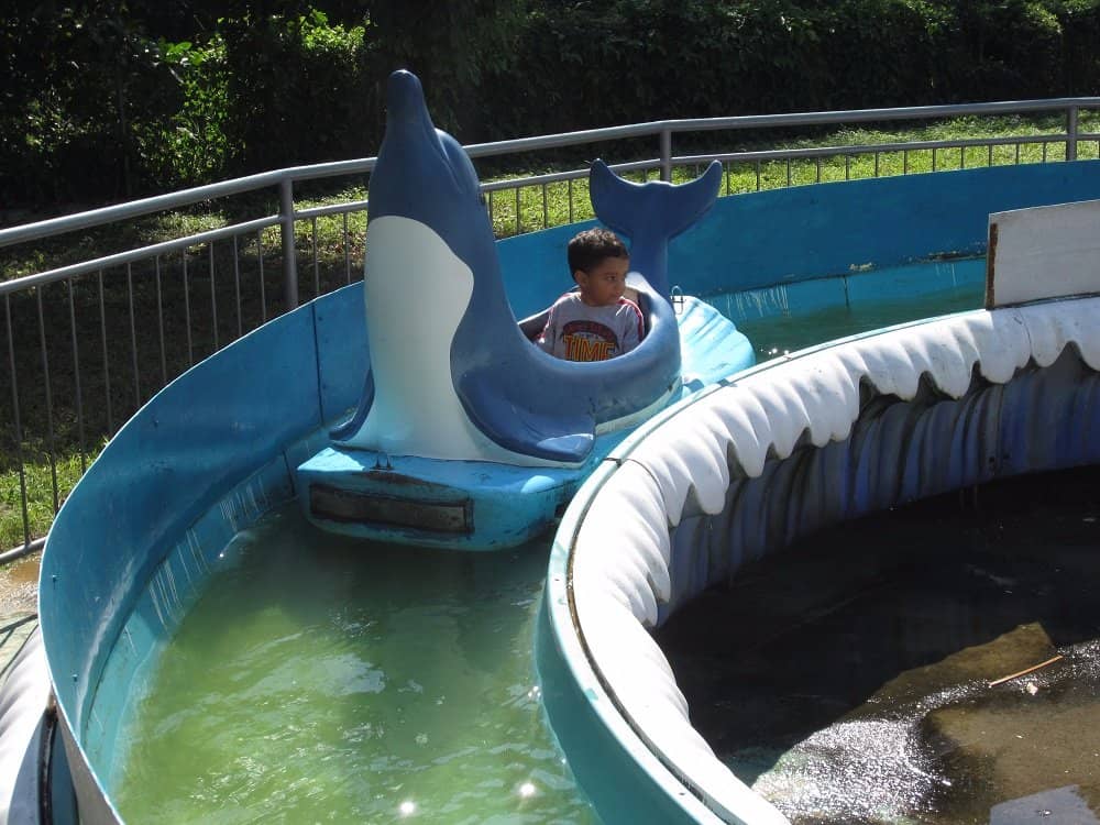 Amusement Rides