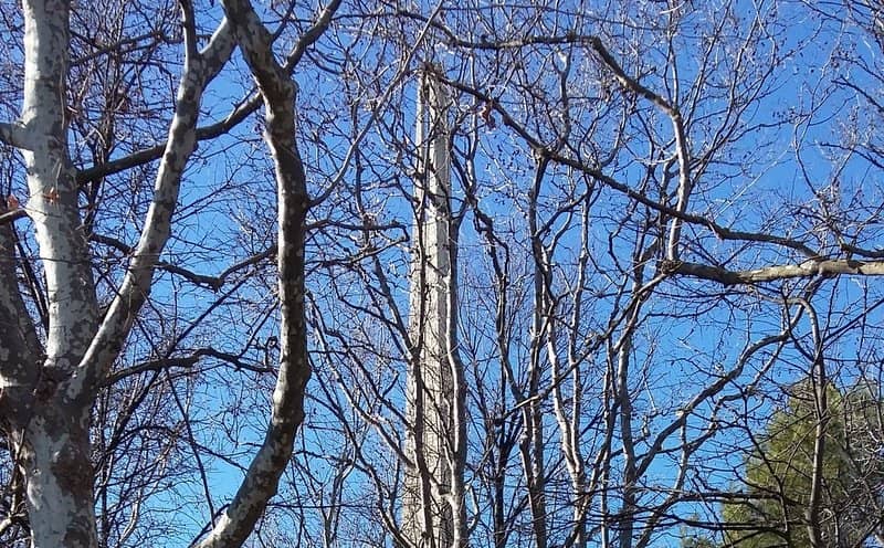 New Year's Eve Spectacle