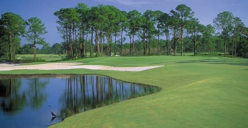 Excellent Course Conditions