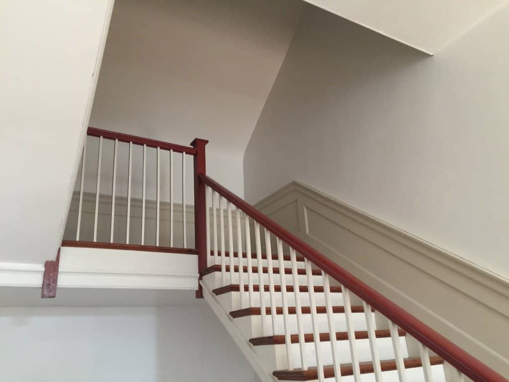 Volunteer-Led Insights