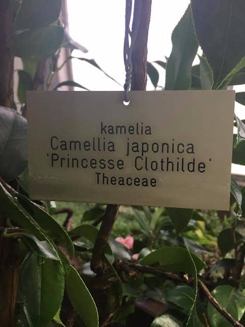 The Hanging Garden Exhibition