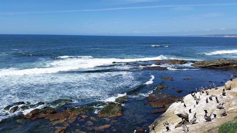 beach at La Jolla