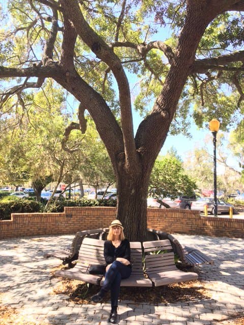 Beautiful grounds around the library