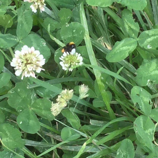 Iconic Fountain Views