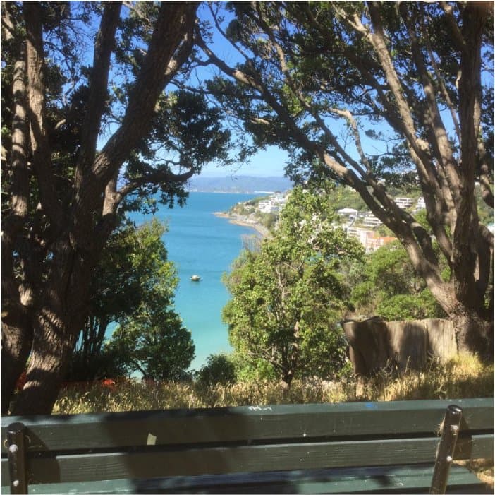 St Gerard's Park, its pohutukawas, its bench and its view out over Oriental Bay