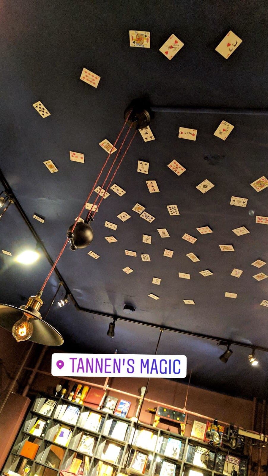 Attend a Magic Show