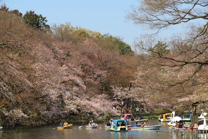 井の頭恩賜公園