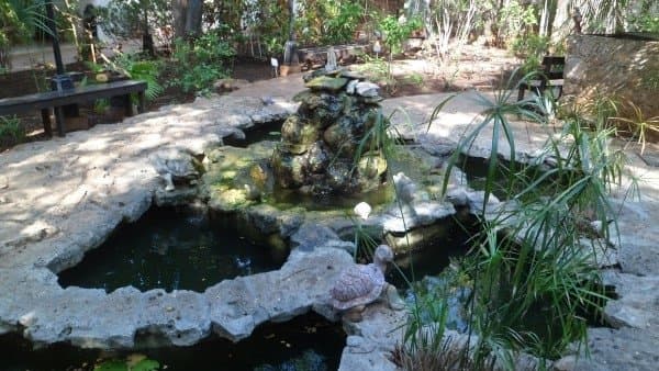 Xmuch'haltún Botanical Garden