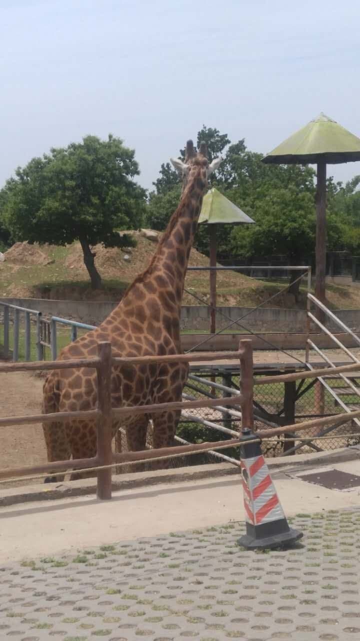 Qinling Wildlife Park