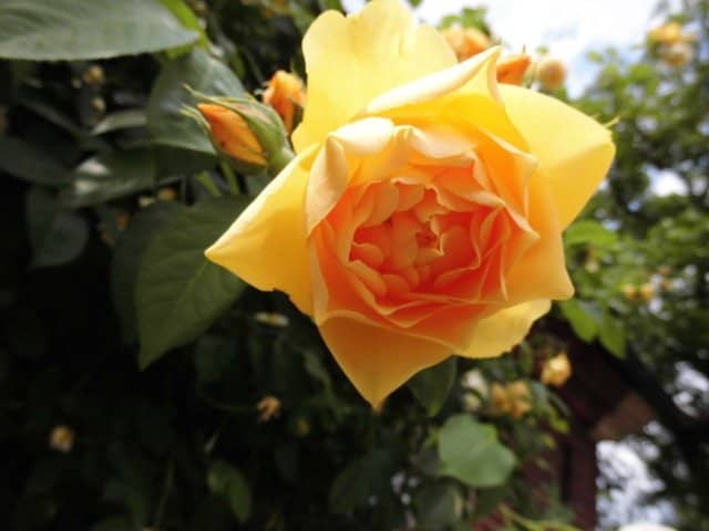 Secluded Natural Beauty