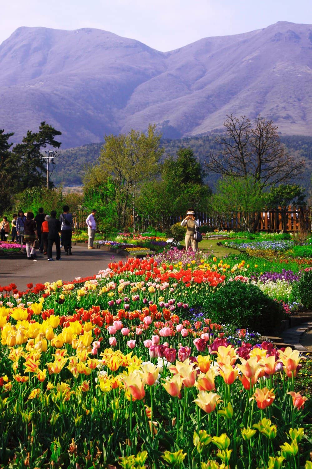 Rose Garden