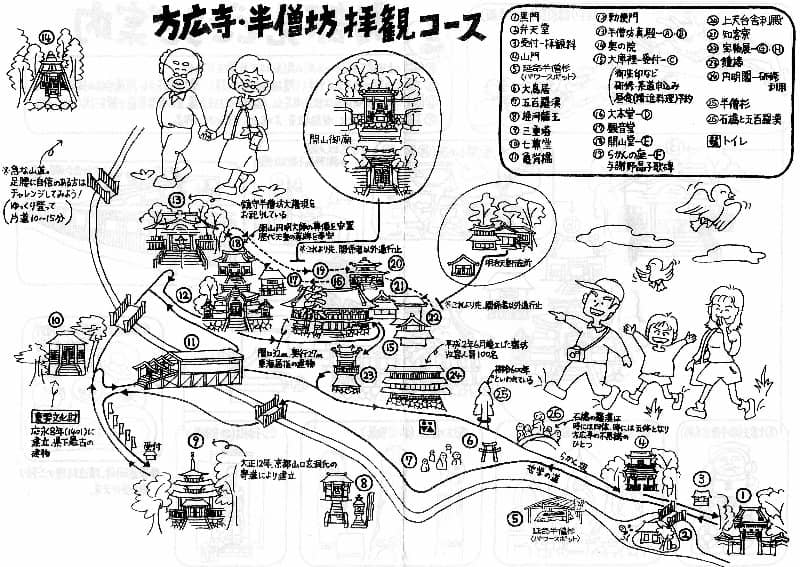 Peaceful Forest Paths