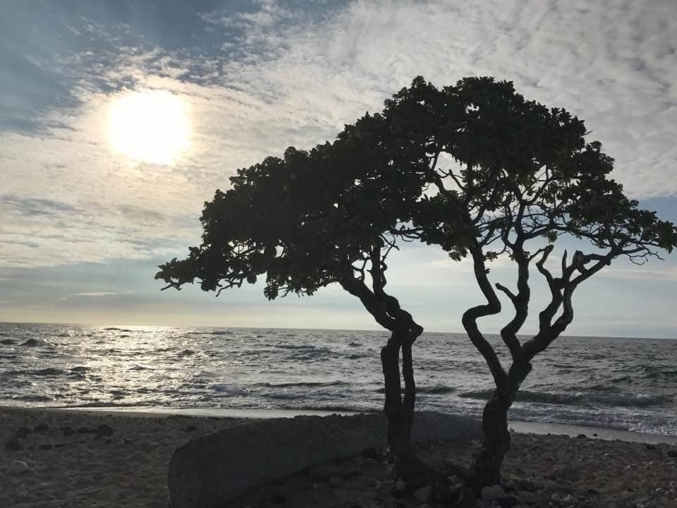 Kua Bay (Maniniowali Beach)