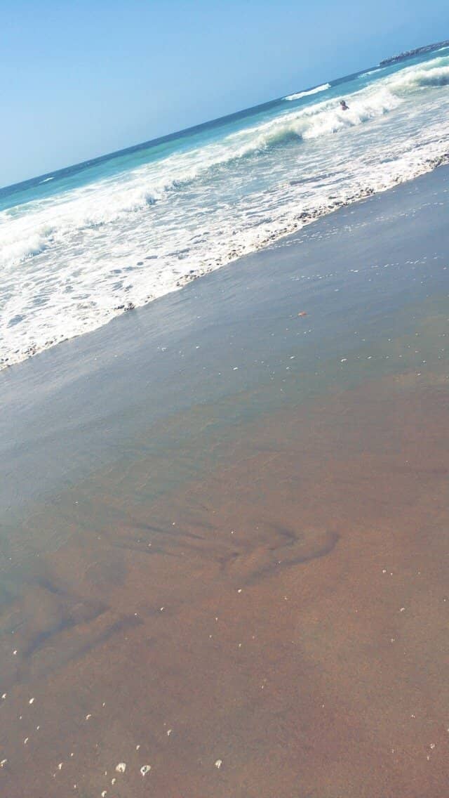 Camel Rides on the Shore