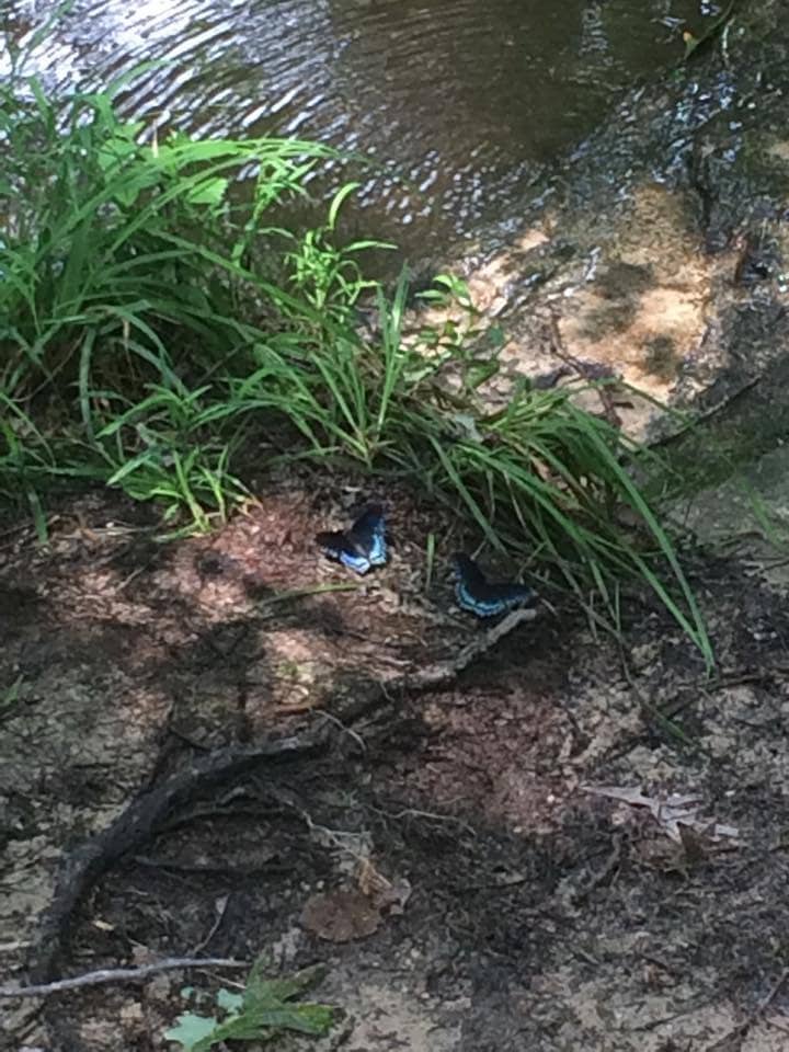 Trail Through Time Loop