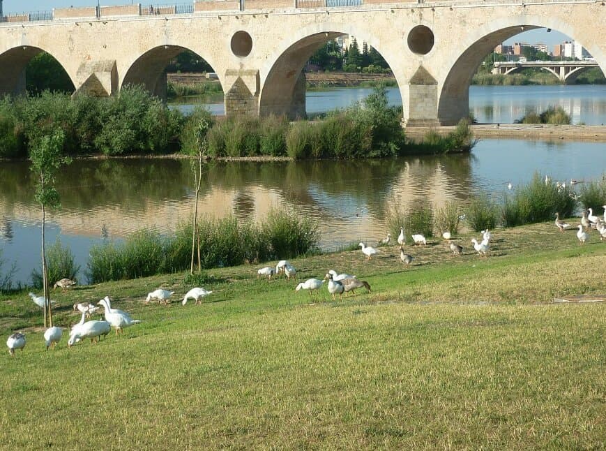 Paseo Fluvial del Guadiana