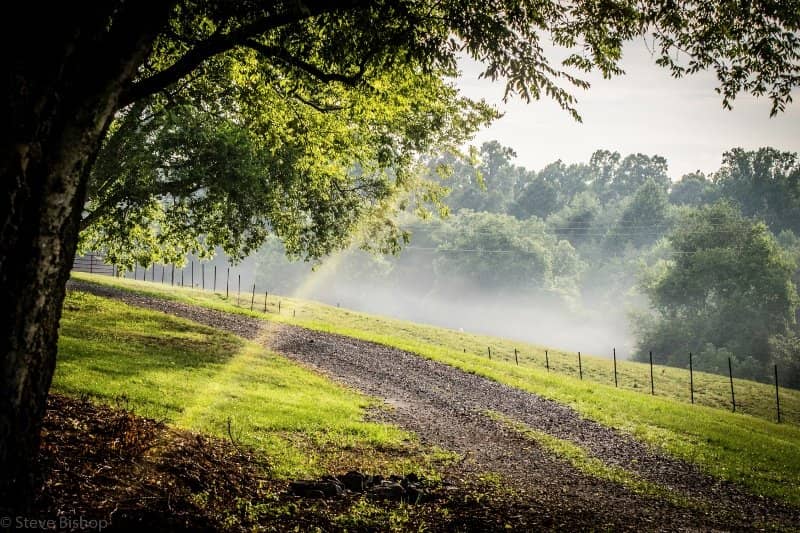 Nature-Focused Playground