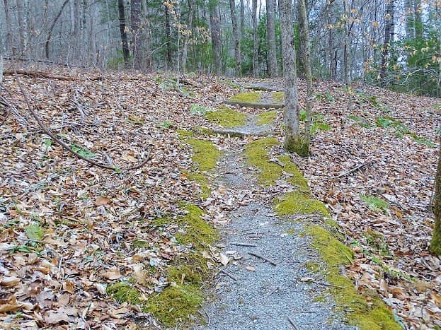 Fire Tower & Lookout Stories