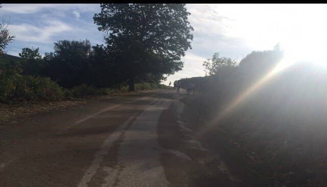 Las Médulas Landscape