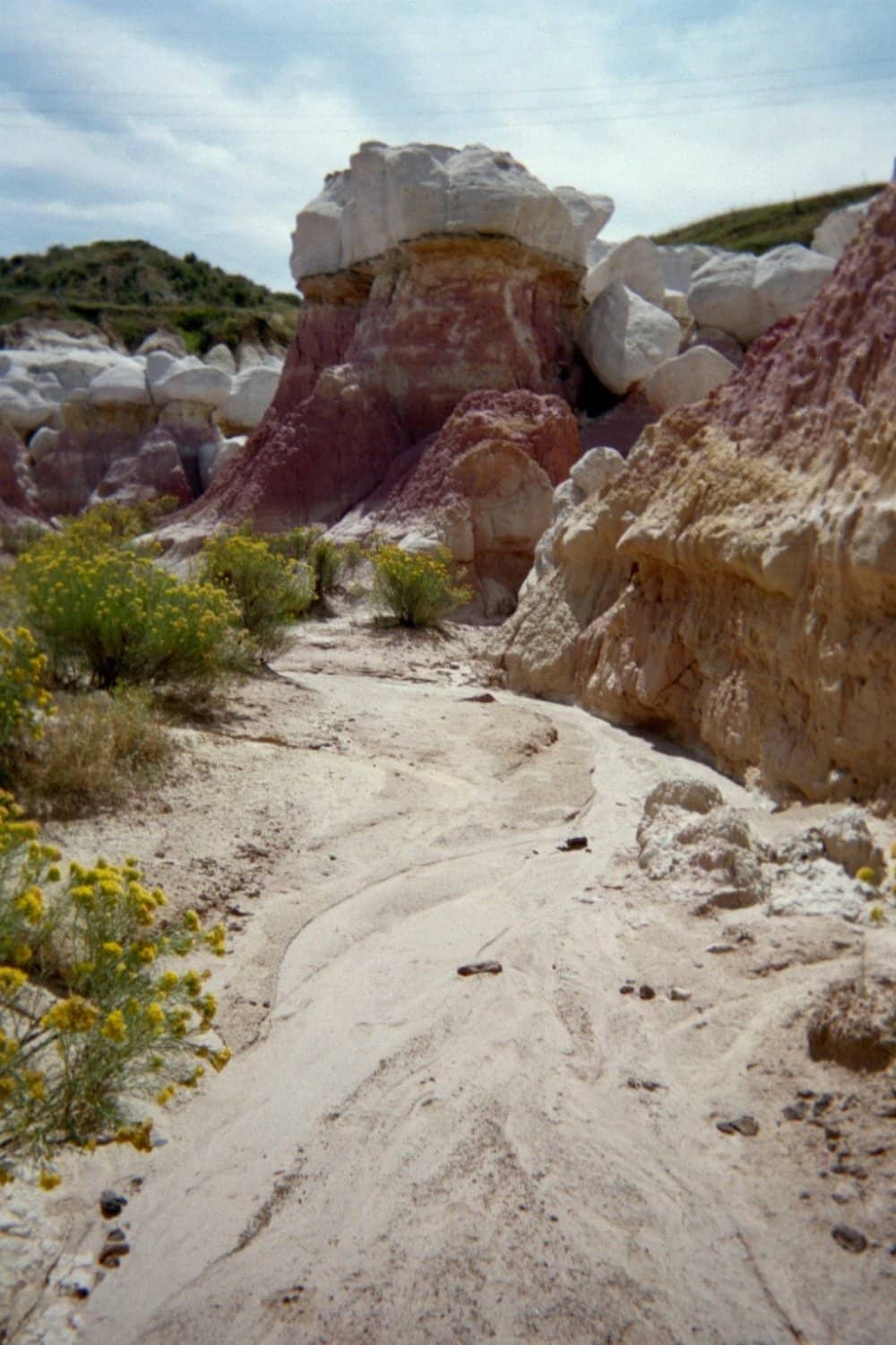 Interpretive Trails