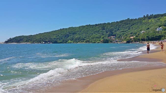 Tranquil Beach Vibe