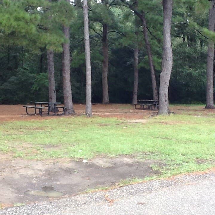 Walking Trails