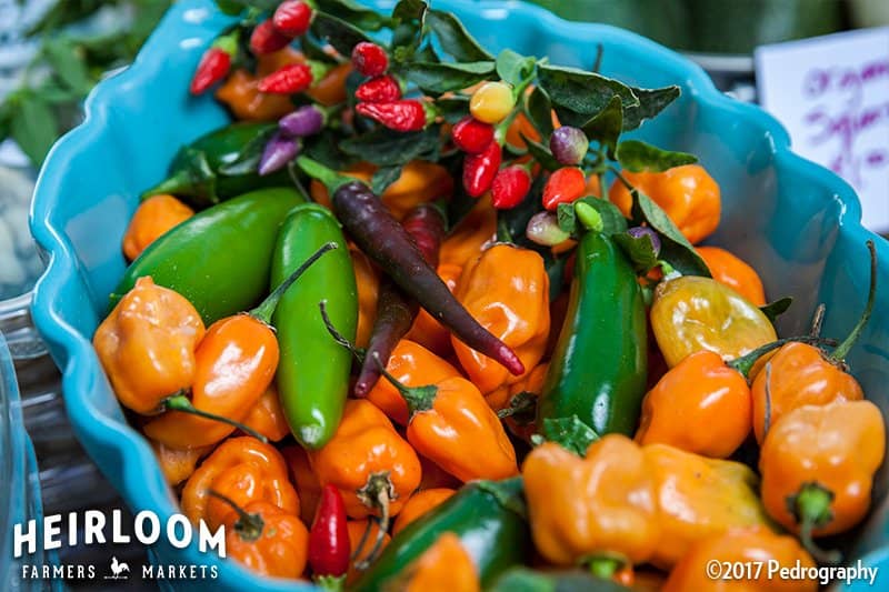 Farm-Fresh Produce