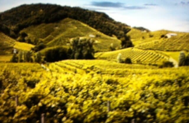 Su e giu per le ..... colline !