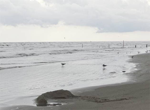 Beach Driving Adventure